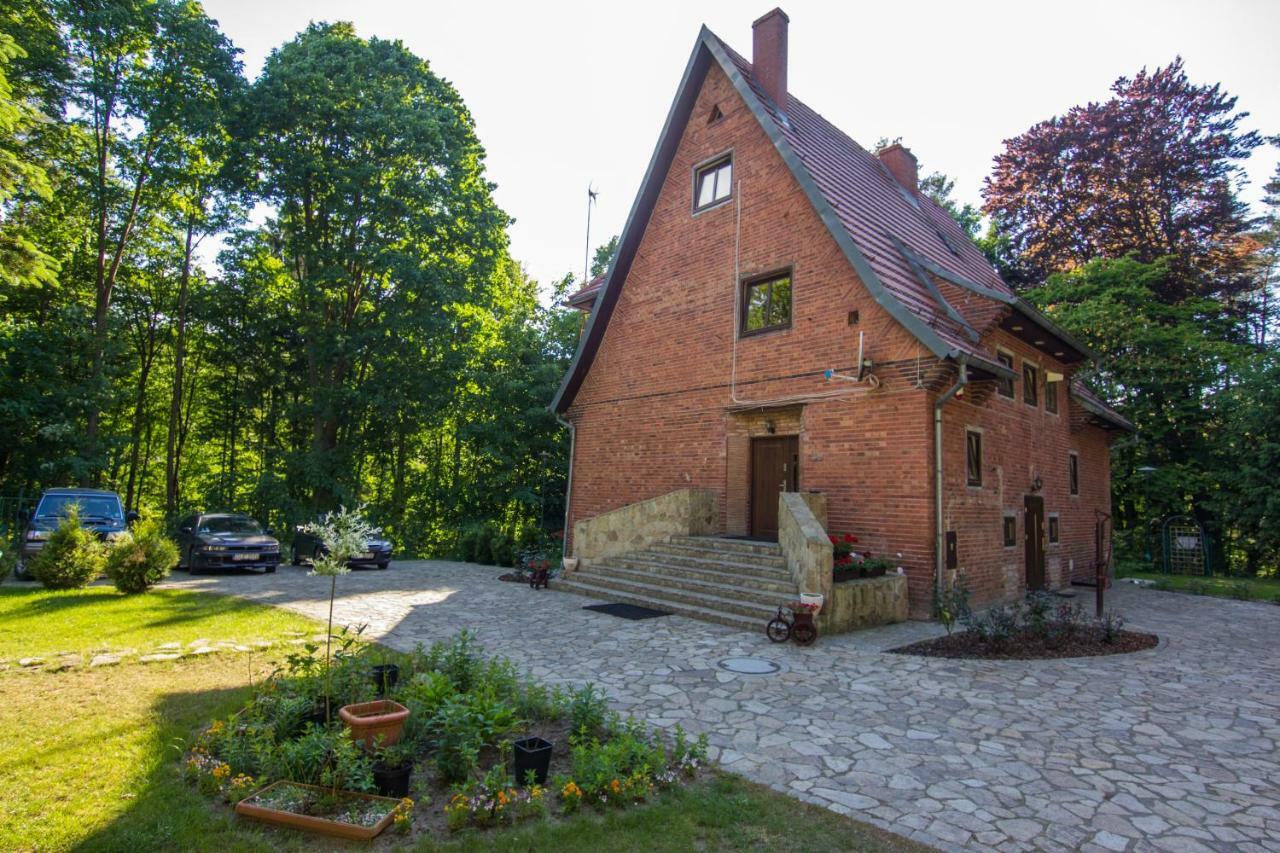 Willa Alkor Drzensko  Exterior foto